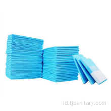 Kain Non Woven Disposable Pet Training Pads